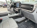 2024 F-150 Thumbnail 14
