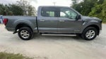 2024 F-150 Thumbnail 9