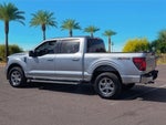 2024 F-150 Thumbnail 21