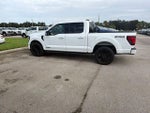 2024 F-150 Thumbnail 8