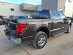 2024 F-150 Thumbnail 6