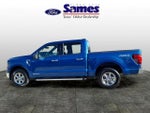 2024 F-150 Thumbnail 6