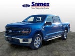 2024 F-150 Thumbnail 7