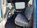 2024 F-150 Thumbnail 15