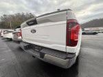 2024 F-150 Thumbnail 6