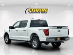 2024 F-150 Thumbnail 6