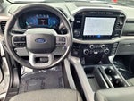 2024 F-150 Thumbnail 9