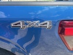 2024 F-150 Thumbnail 10
