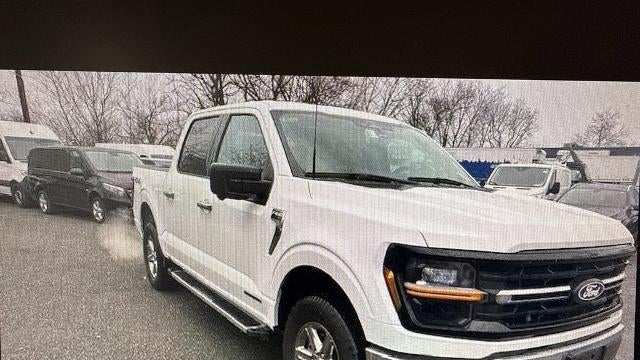Preowned 2024 Ford F-150 XLT for Sale