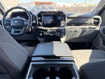 2024 F-150 Thumbnail 17