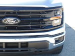 2024 F-150 Thumbnail 14