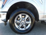2024 F-150 Thumbnail 15
