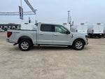 2024 F-150 Thumbnail 2