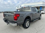 2024 F-150 Thumbnail 6