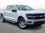 2024 F-150 Thumbnail 3