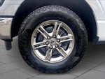 2024 F-150 Thumbnail 11
