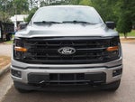 2024 F-150 Thumbnail 2