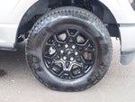 2024 F-150 Thumbnail 10