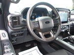2024 F-150 Thumbnail 15