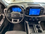2024 F-150 Thumbnail 11