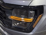 2024 F-150 Thumbnail 10