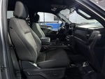 2024 F-150 Thumbnail 20