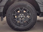 2024 F-150 Thumbnail 6