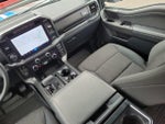 2024 F-150 Thumbnail 29