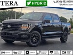2024 F-150 Thumbnail 2