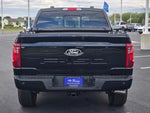 2024 F-150 Thumbnail 13