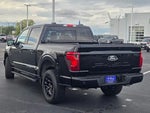 2024 F-150 Thumbnail 15