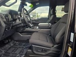 2024 F-150 Thumbnail 24