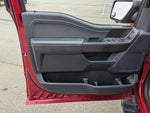 2024 F-150 Thumbnail 15
