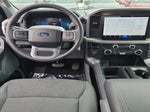 2025 F-150 Thumbnail 10