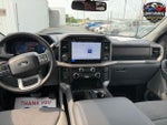 2025 F-150 Thumbnail 12