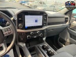 2025 F-150 Thumbnail 17