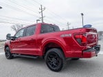 2025 F-150 Thumbnail 13