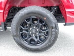 2025 F-150 Thumbnail 14