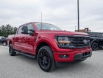 2025 F-150 Thumbnail 22