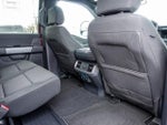2025 F-150 Thumbnail 30