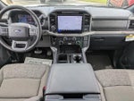 2025 F-150 Thumbnail 13