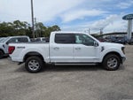2025 F-150 Thumbnail 3