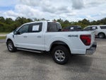 2025 F-150 Thumbnail 6