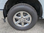 2025 F-150 Thumbnail 10