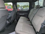 2025 F-150 Thumbnail 12