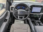 2025 F-150 Thumbnail 14