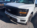 2025 F-150 Thumbnail 2