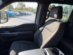 2025 F-150 Thumbnail 10