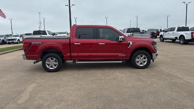 Preowned 2025 Ford F-150 XLT for Sale