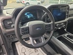 2025 F-150 Thumbnail 16